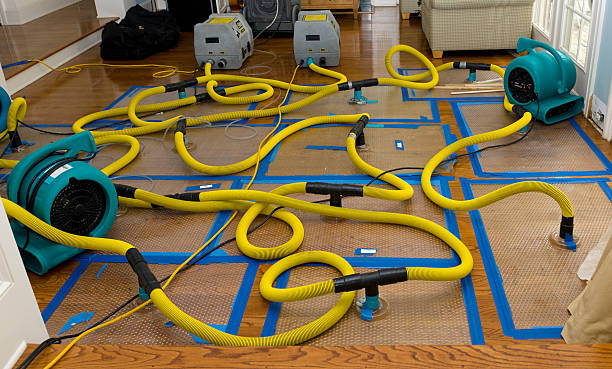 Professional Flood Damage Restoration technician working in Salem, CT